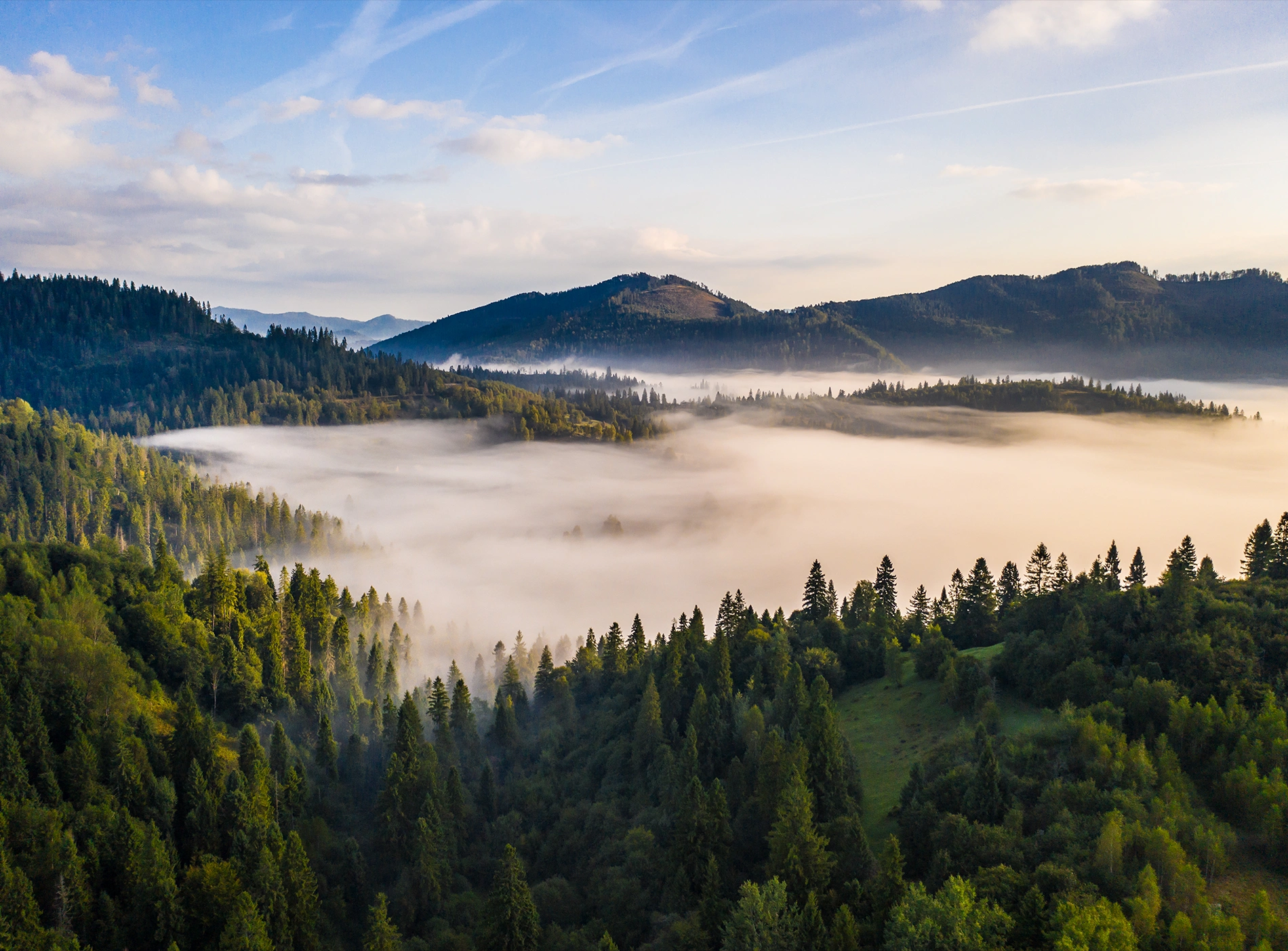 Rózsakert Kulcsosház - Ivó